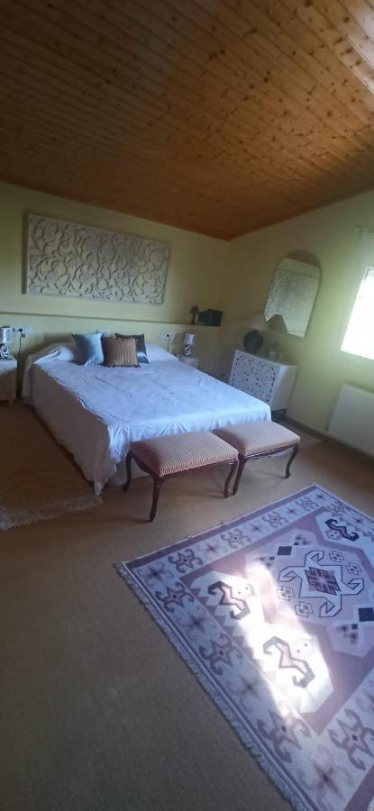 Vivienda El Olivo Con Piscina Privada Y Jardin. Βίλα Ayegui Εξωτερικό φωτογραφία