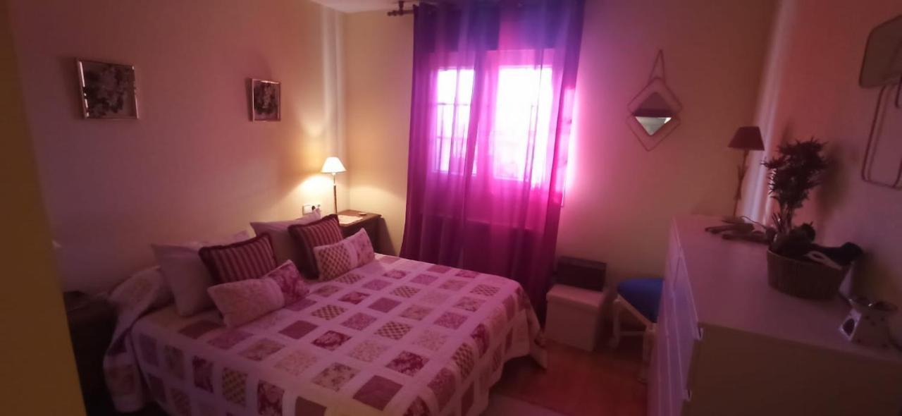 Vivienda El Olivo Con Piscina Privada Y Jardin. Βίλα Ayegui Εξωτερικό φωτογραφία